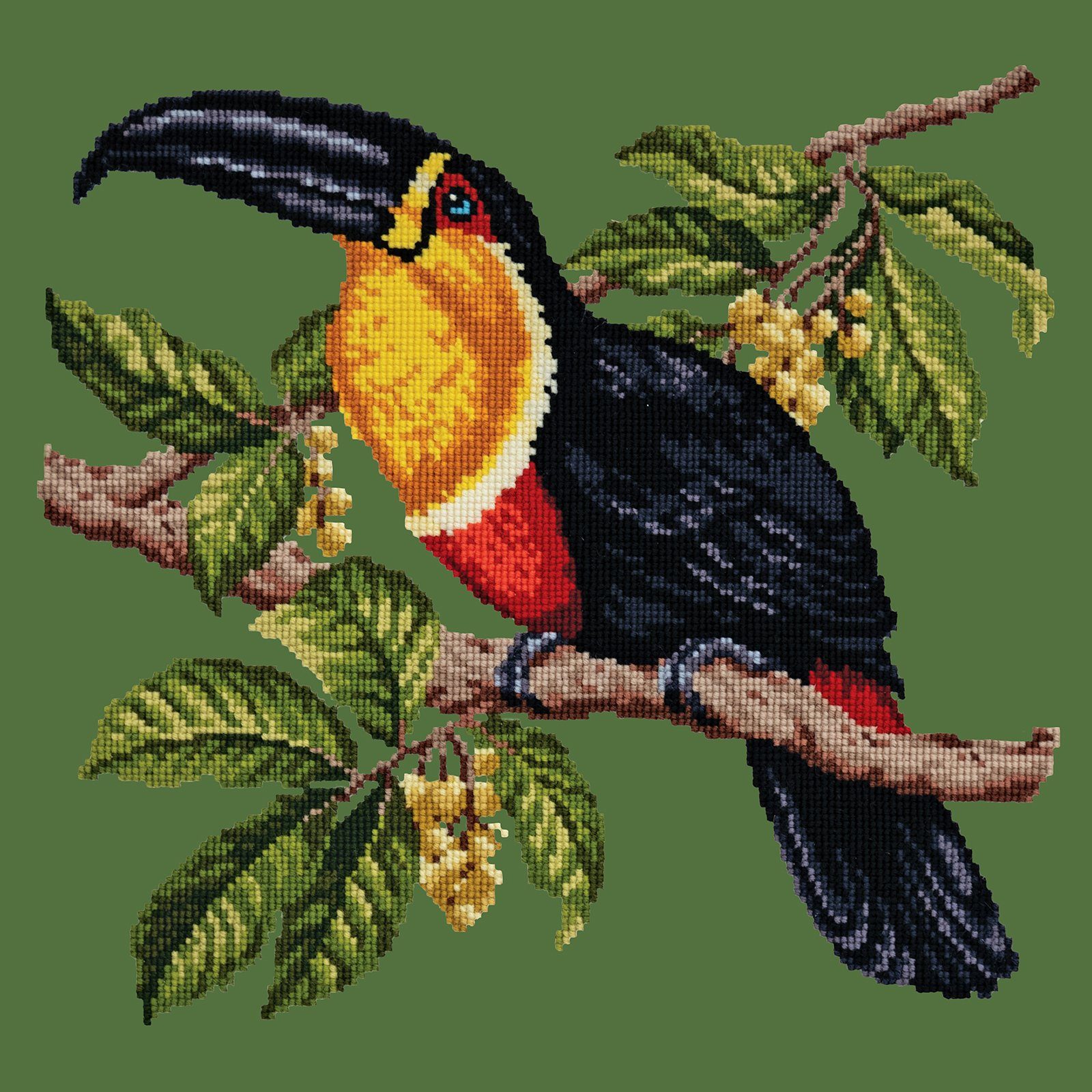Toucan Needlepoint Kit Kits Elizabeth Bradley Design 
