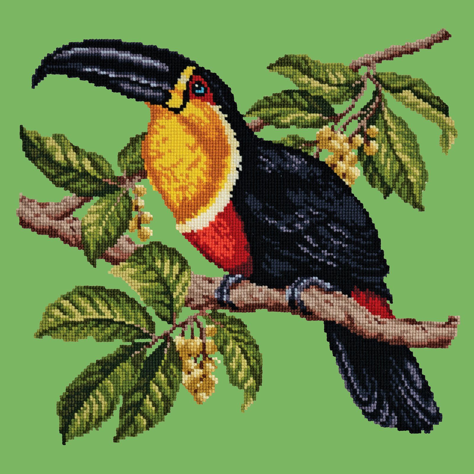 Toucan Needlepoint Kit Kits Elizabeth Bradley Design 
