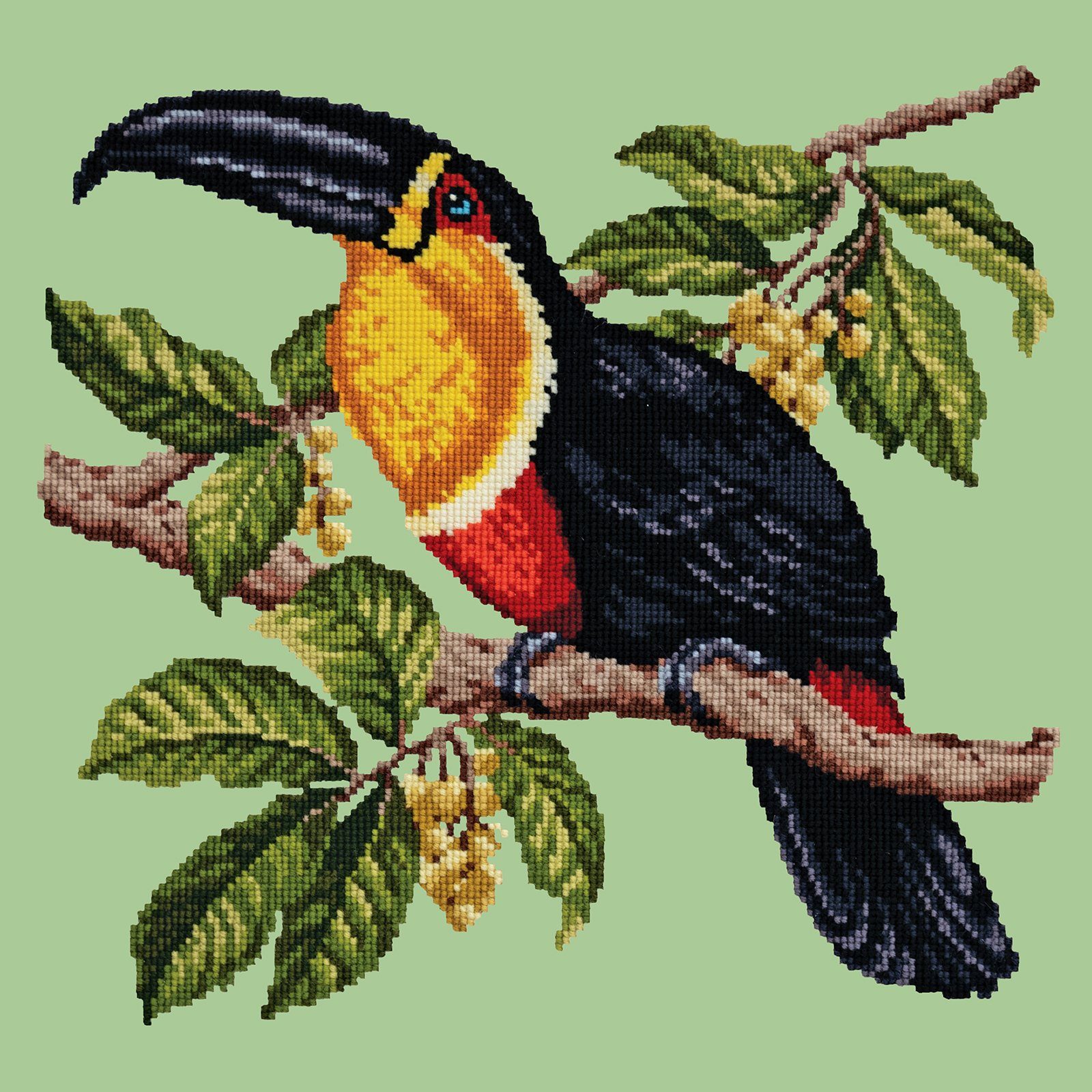 Toucan Needlepoint Kit Kits Elizabeth Bradley Design 
