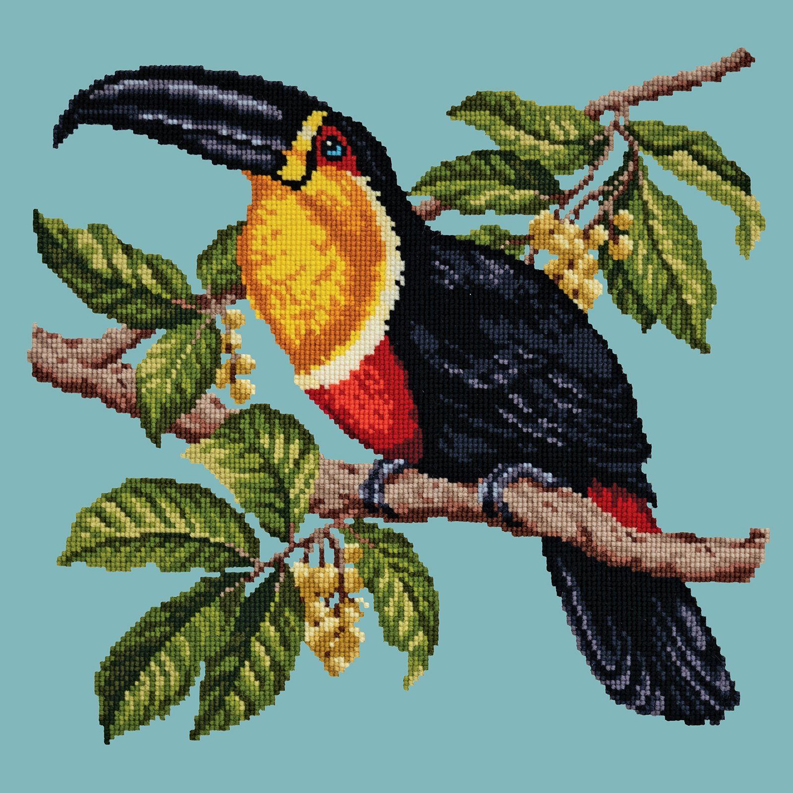Toucan Needlepoint Kit Kits Elizabeth Bradley Design 
