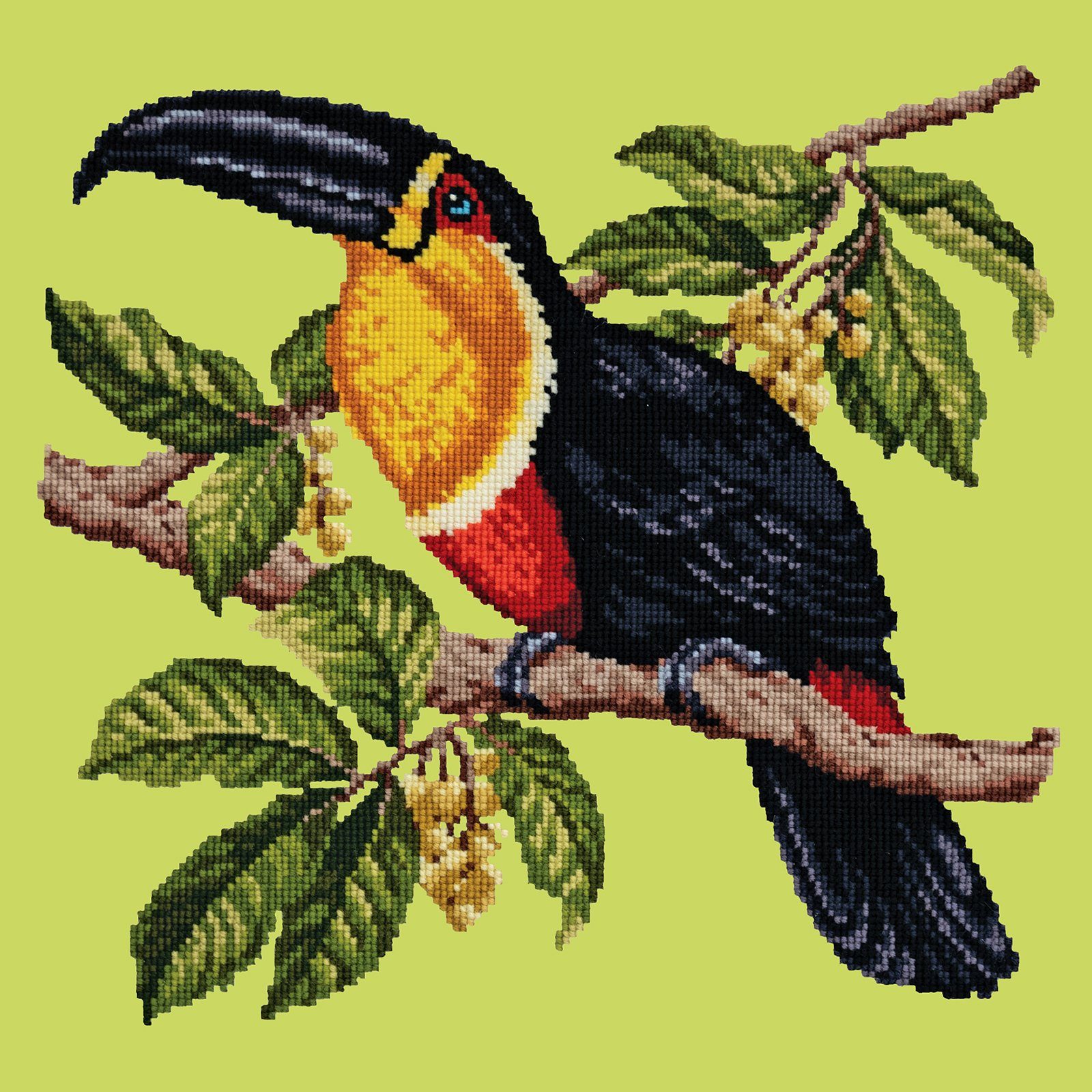 Toucan Needlepoint Kit Kits Elizabeth Bradley Design 

