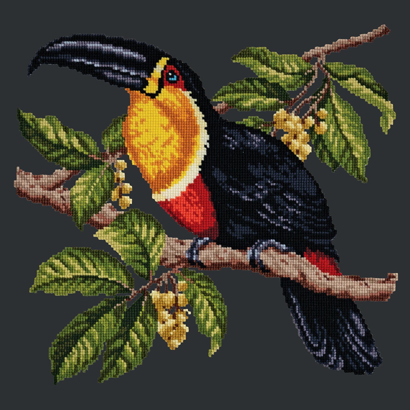 Toucan Needlepoint Kit Kits Elizabeth Bradley Design 

