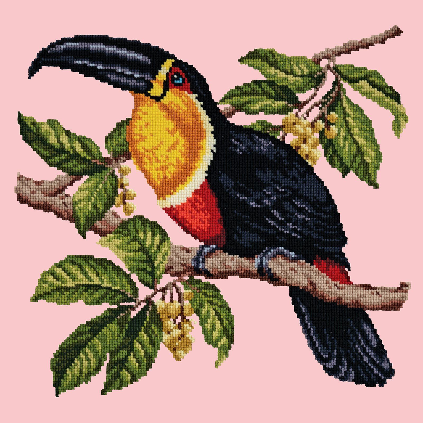 Toucan Needlepoint Kit Kits Elizabeth Bradley Design 
