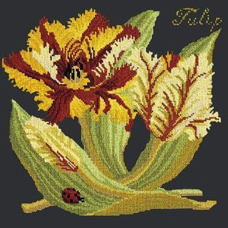 Tulip Needlepoint Kit Kits Elizabeth Bradley Design Black 
