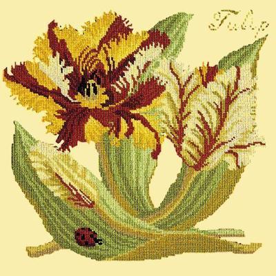 Tulip Needlepoint Kit Kits Elizabeth Bradley Design Butter Yellow 
