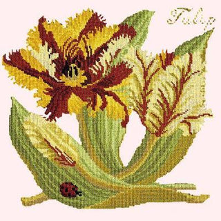 Tulip Needlepoint Kit Kits Elizabeth Bradley Design Cream 
