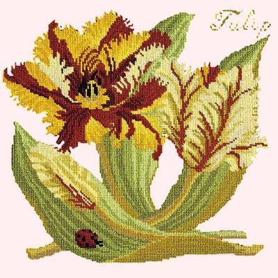 Tulip Needlepoint Kit Kits Elizabeth Bradley Design Cream 
