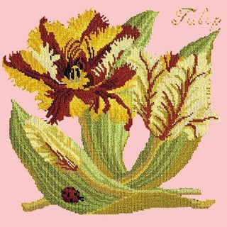 Tulip Needlepoint Kit Kits Elizabeth Bradley Design Pale Rose 
