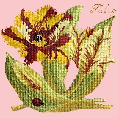 Tulip Needlepoint Kit Kits Elizabeth Bradley Design Pale Rose 
