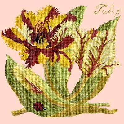 Tulip Needlepoint Kit Kits Elizabeth Bradley Design Salmon Pink 
