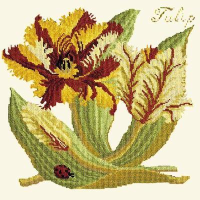 Tulip Needlepoint Kit Kits Elizabeth Bradley Design Winter White 

