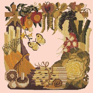 Vegetables Needlepoint Kit Kits Elizabeth Bradley Design Salmon Pink 
