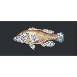 Vermillion Seabass Needlepoint Kit Kits Elizabeth Bradley Design Black 
