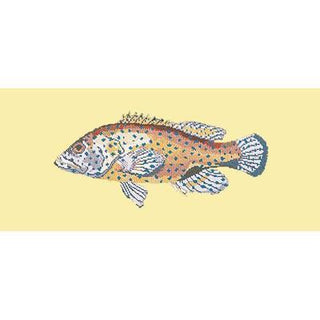 Vermillion Seabass Needlepoint Kit Kits Elizabeth Bradley Design Butter Yellow 
