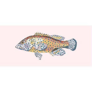 Vermillion Seabass Needlepoint Kit Kits Elizabeth Bradley Design Cream 
