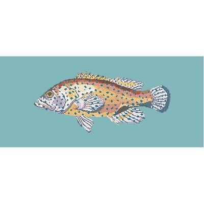 Vermillion Seabass Needlepoint Kit Kits Elizabeth Bradley Design Duck Egg Blue 
