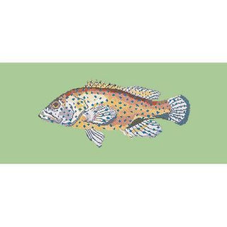 Vermillion Seabass Needlepoint Kit Kits Elizabeth Bradley Design Pale Green 
