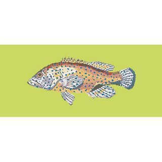 Vermillion Seabass Needlepoint Kit Kits Elizabeth Bradley Design Pale Lime 

