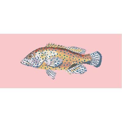 Vermillion Seabass Needlepoint Kit Kits Elizabeth Bradley Design Pale Rose 
