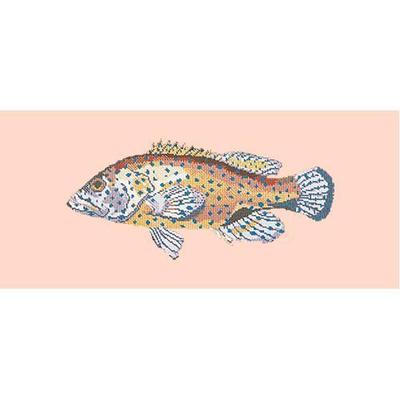 Vermillion Seabass Needlepoint Kit Kits Elizabeth Bradley Design Salmon Pink 

