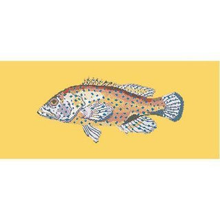 Vermillion Seabass Needlepoint Kit Kits Elizabeth Bradley Design Sunflower Yellow 
