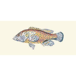 Vermillion Seabass Needlepoint Kit Kits Elizabeth Bradley Design Winter White 
