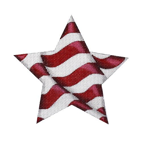 Waving Flag Star Painted Canvas Pepperberry Designs  - 1