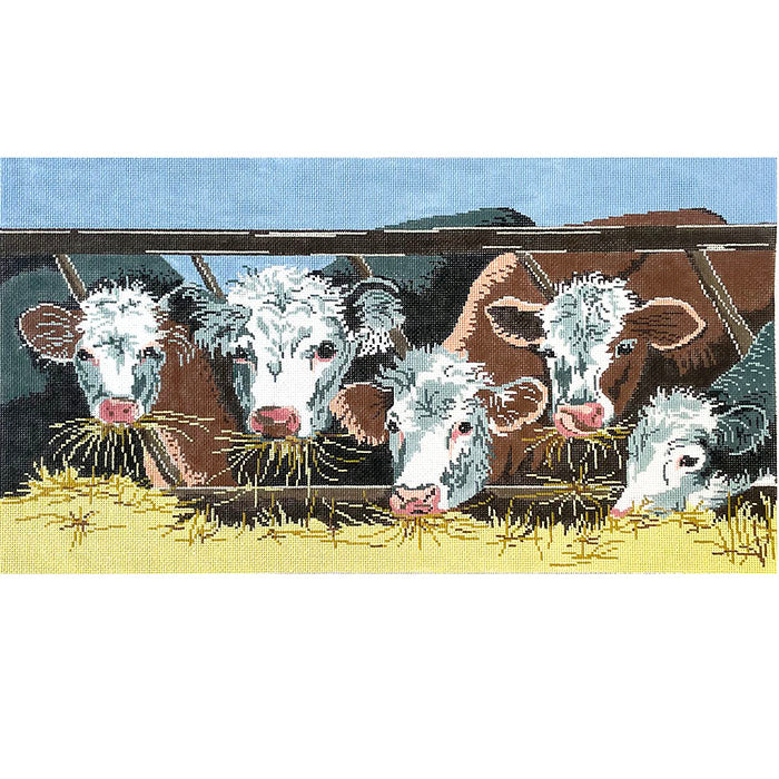 White Faced Cows Eating Painted Canvas Patti Mann  - 1
