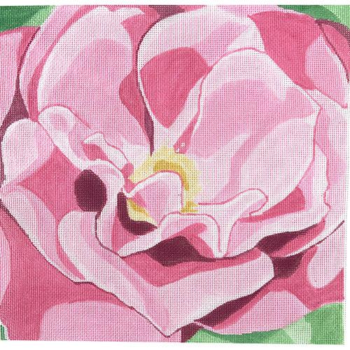 Wild Rose Tulip Painted Canvas Jean Smith 