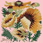 Yellow Poppy Needlepoint Kit Kits Elizabeth Bradley Design Pale Rose 