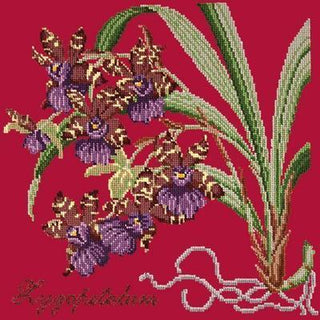 Zygopetalum Needlepoint Kit Kits Elizabeth Bradley Design Bright Red 
