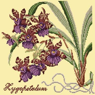 Zygopetalum Needlepoint Kit Kits Elizabeth Bradley Design Butter Yellow 
