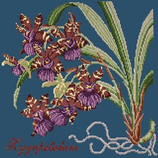 Zygopetalum Needlepoint Kit Kits Elizabeth Bradley Design Dark Blue 
