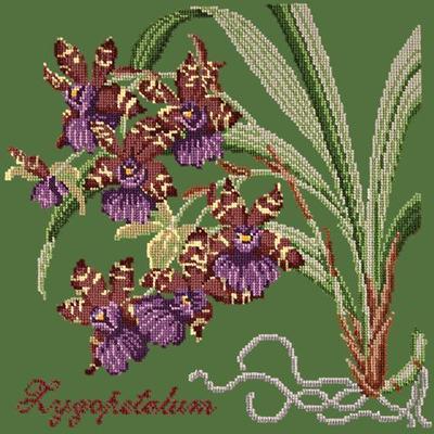 Zygopetalum Needlepoint Kit Kits Elizabeth Bradley Design Dark Green 
