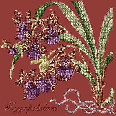 Zygopetalum Needlepoint Kit Kits Elizabeth Bradley Design Dark Red 
