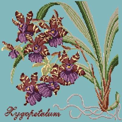 Zygopetalum Needlepoint Kit Kits Elizabeth Bradley Design Duck Egg Blue 
