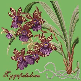 Zygopetalum Needlepoint Kit Kits Elizabeth Bradley Design Grass Green 
