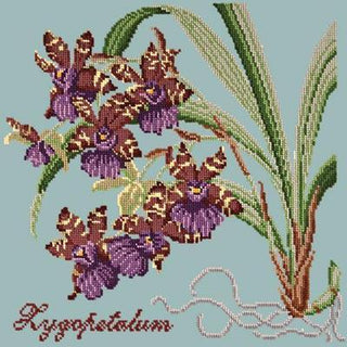 Zygopetalum Needlepoint Kit Kits Elizabeth Bradley Design Pale Blue 
