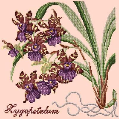 Zygopetalum Needlepoint Kit Kits Elizabeth Bradley Design Salmon Pink 
