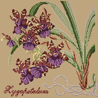 Zygopetalum Needlepoint Kit Kits Elizabeth Bradley Design Sand 
