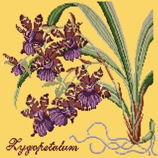 Zygopetalum Needlepoint Kit Kits Elizabeth Bradley Design Sunflower Yellow 
