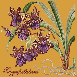 Zygopetalum Needlepoint Kit Kits Elizabeth Bradley Design Yellow 
